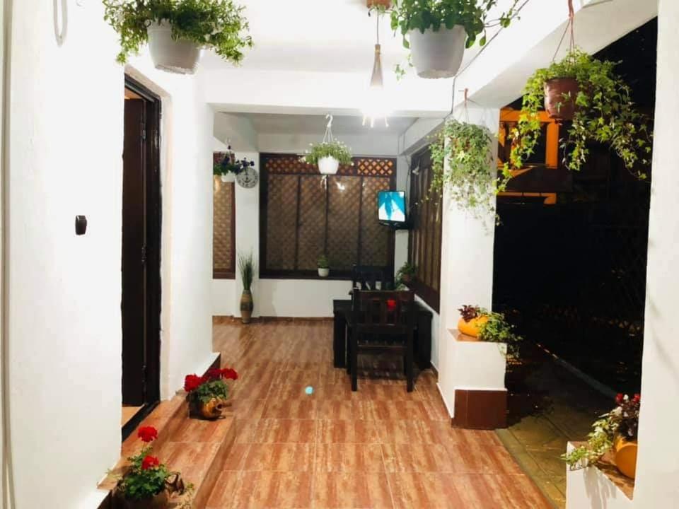 Vila Tami Διαμέρισμα Costinești Εξωτερικό φωτογραφία